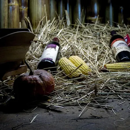 Dani Motel Nova Bila