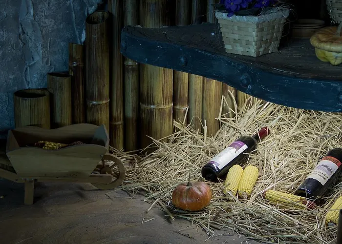 Motel Dani Nova Bila