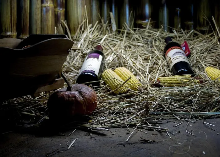 Dani Motel Nova Bila